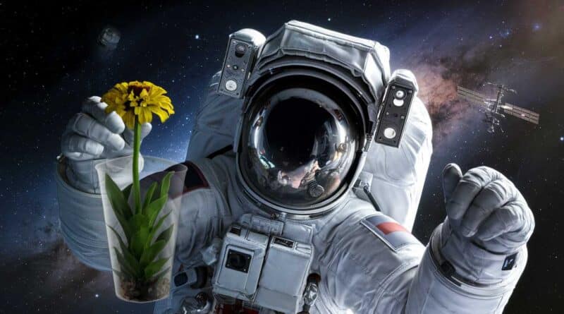 A odiss&eacute;ia do espa&ccedil;o: Fortuna e descobertas interestelares